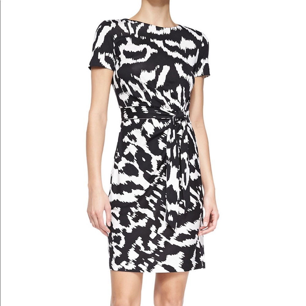 Diane von Furstenberg Printed Tie-Belt Dress